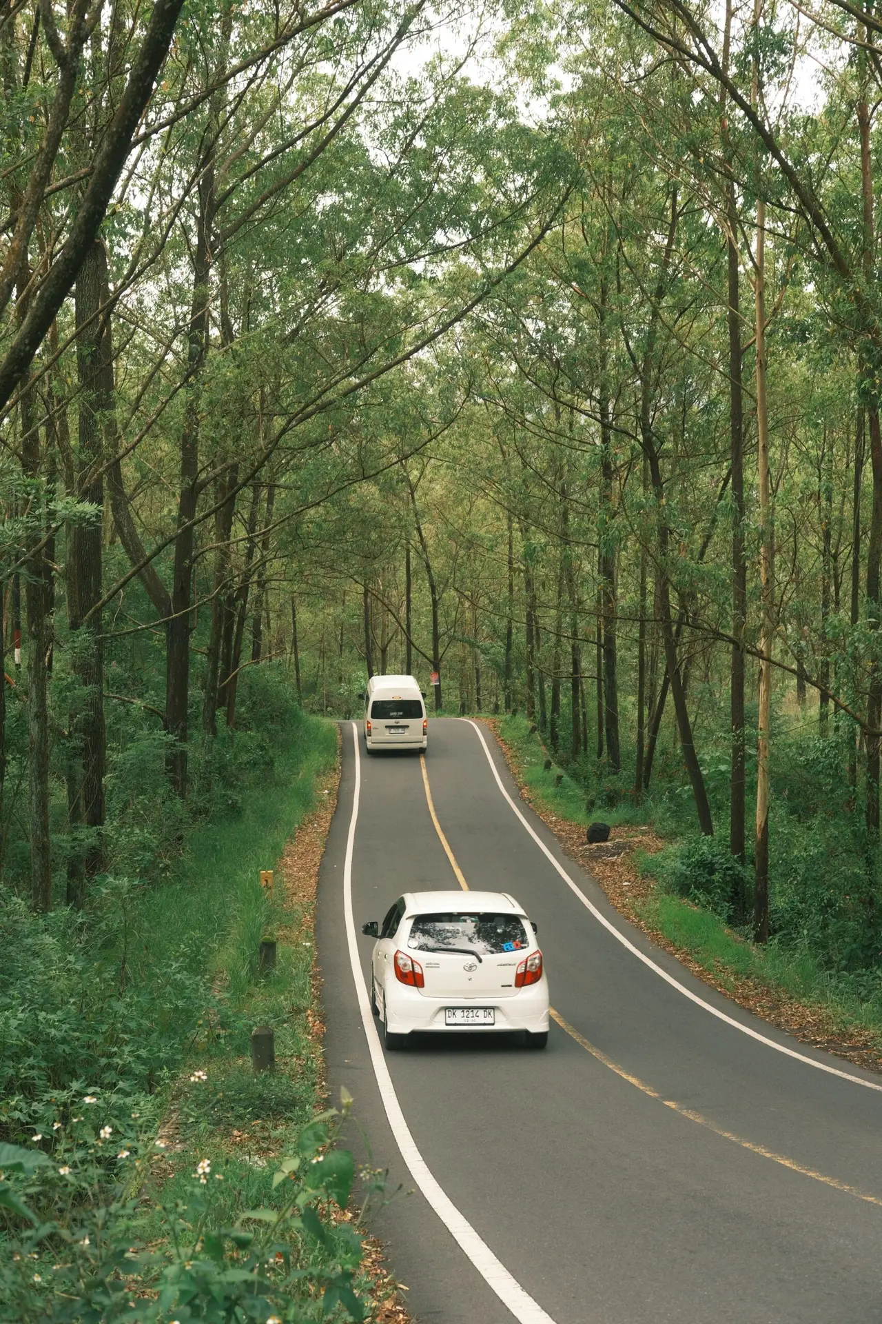 Two white cars on a winding road through a lush green forest in daytime.